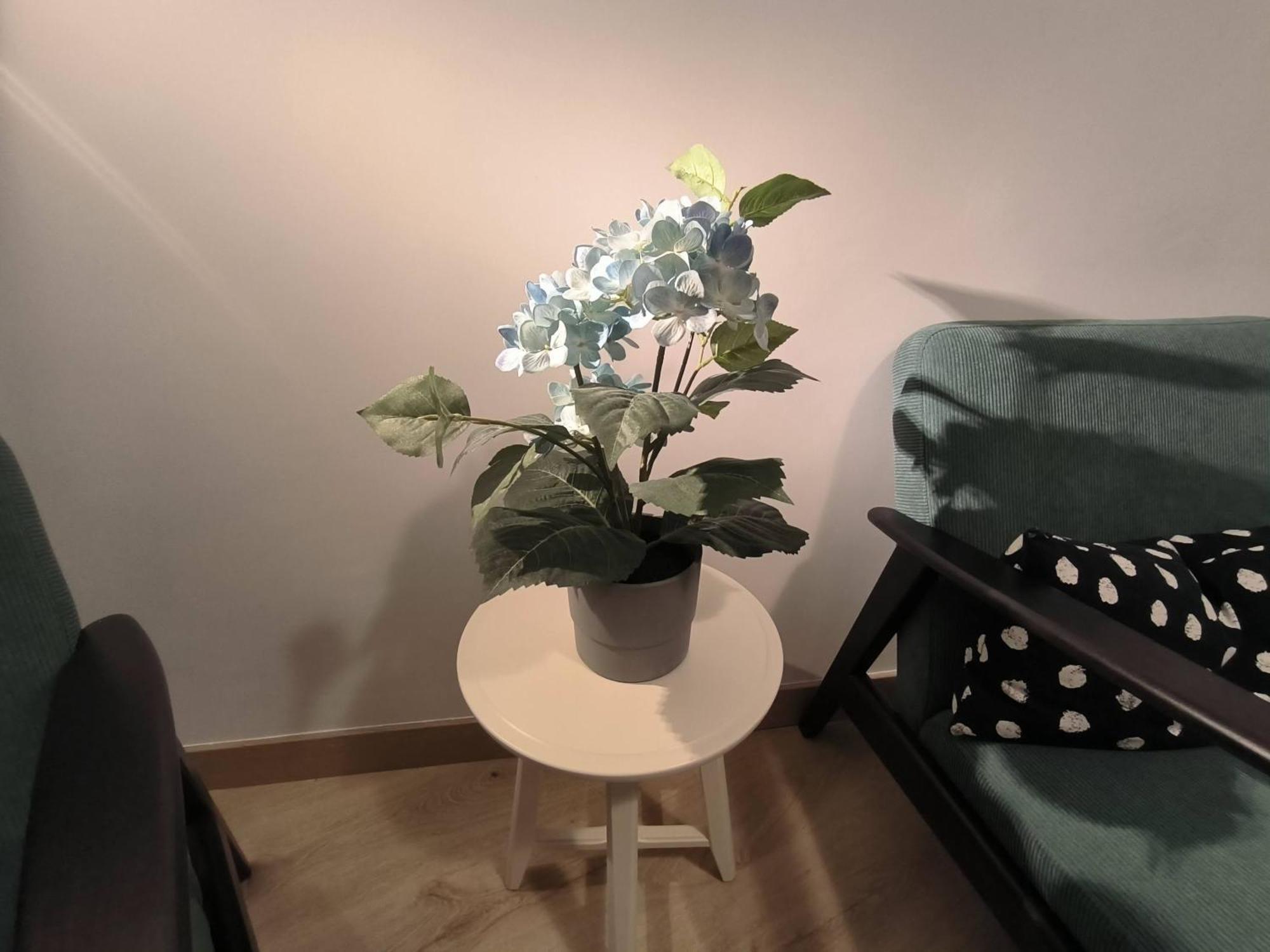Apartamento Zabala Conoce Bilbao Desde Dentro المظهر الخارجي الصورة